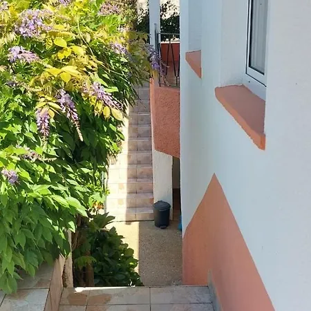 Casa Da Figueira Branca *