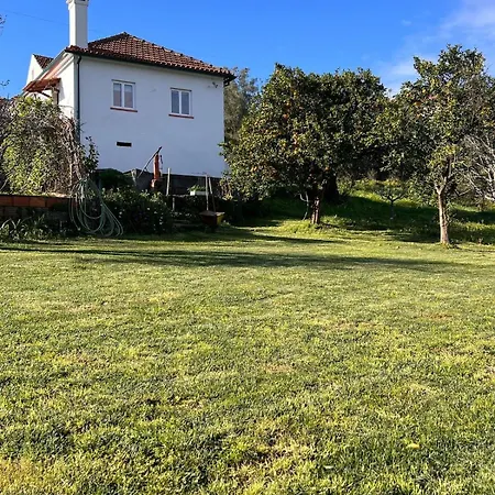 Casa Da Figueira Branca Sazes do Lorvao